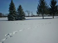 464 Main St, Kinde, MI Image #5611092