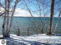 11256 Se Torch Lake Dr, Alden, Michigan  Image #6252607