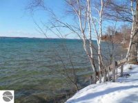 11256 Se Torch Lake Dr, Alden, Michigan  Image #6252606