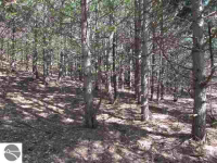 5989 S Schomberg Rd, Cedar, Michigan  Image #6679941