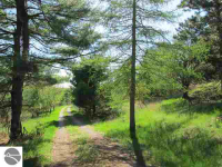 5989 S Schomberg Rd, Cedar, Michigan  Image #6679944