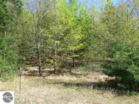 5989 S Schomberg Rd, Cedar, Michigan  Image #6679942