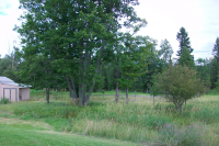 N12050 Highway 41, Carney, MI Image #7001986