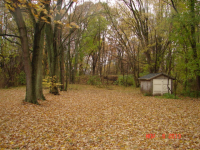 60314 Lincoln Street, Nottawa, MI Image #8610244