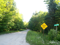 38381 Deer Hollow Court, Beaver Island, MI Image #8781475