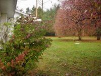 10821 M-77, Seney, MI Image #9271936