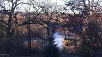 692 School Dr, Zumbro Falls, Minnesota Image #5228752
