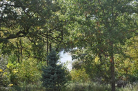 692 School Dr, Zumbro Falls, Minnesota Image #5228795