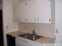 4207 Lakeside Ave N Apt 220, Brooklyn Center, Minnesota  Image #5603435