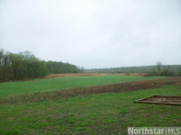 5081 County Road 146, South Haven, Minnesota  Image #6839456