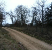 62 Hc Box 86, Pottersville, MO Image #5507025