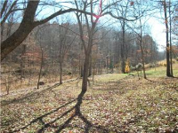 3309 Highway Bb, Annapolis, Missouri  Image #5610433