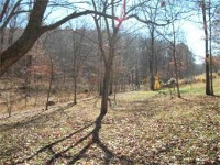 3309 Highway Bb, Annapolis, Missouri  Image #5610432