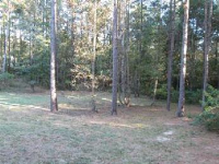 3392 Old Malcum Rd, Brookhaven, MS Image #4140033