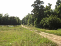 1645 Cassidy Rd, Terry, Mississippi  Image #6957680