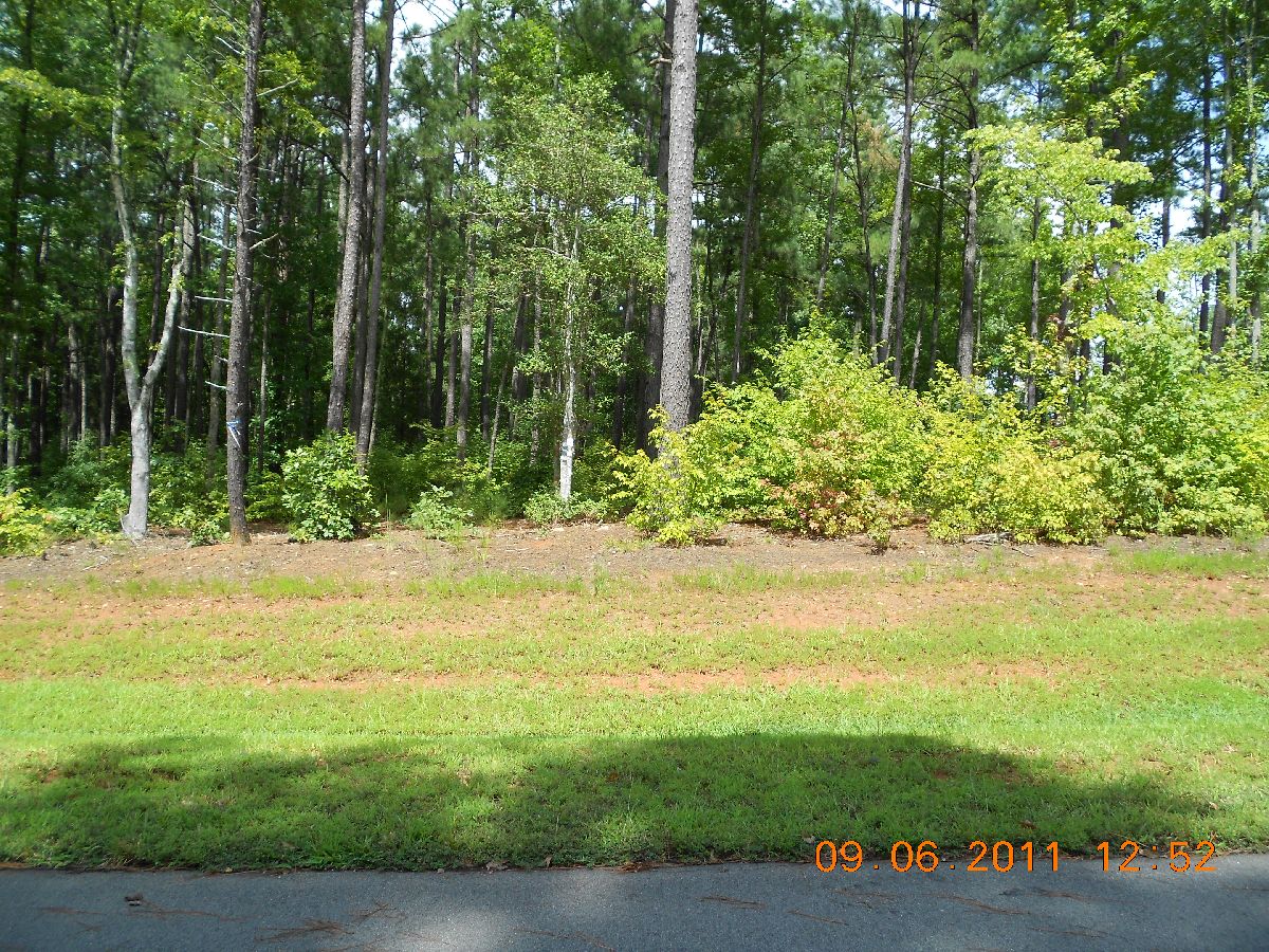 7513  HENSWORTH CT LOT 209, WAKE FOREST, NC Main Image
