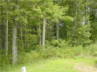 photo for Lot 18a Cliffs At Walnut Cove  (Apn