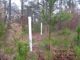 , Section 16 Forest Cr (Apn, Southern Pines, NC Main Image