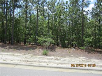 Lot 1408 14 Forest Creek Devel, Southern Pines, NC Main Image