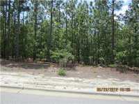 photo for Lot 1408 14 Forest Creek Devel