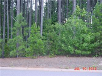 photo for 2211 Northview Habor Dr Lot 44