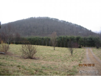 1140 Old Fort Rd, Fairview, North Carolina  Image #6227205