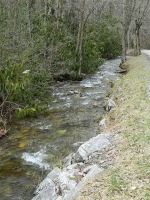 5056 Conleys Creek Rd, Whittier, North Carolina  Image #6228198