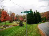 107 Moffitt Road, Horse Shoe, NC Image #8582715