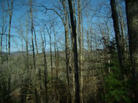 0 Quiet Mountain Trail Trail, Other-North Carolina, NC Image #8771404