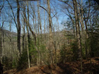 0 Quiet Mountain Trail Trail, Other-North Carolina, NC Image #8771403
