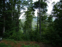 0 Quiet Mountain Trail Trail, Other-North Carolina, NC Image #8771407
