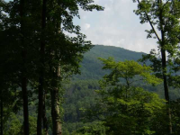 0 Quiet Mountain Trail Trail, Other-North Carolina, NC Image #8771408
