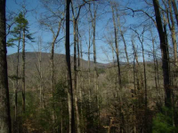 0 Quiet Mountain Trail Trail, Other-North Carolina, NC Image #8771410