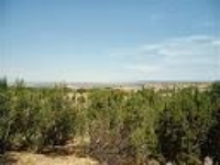 64 Yucca Ln, Placitas, New Mexico  Image #7110289