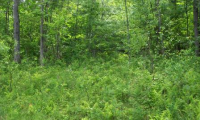 photo for 267 FERNDALE RD LOT 83.4