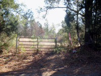 photo for 12780 Old Cox Rd