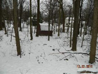 7338 Button Rd, Mentor, OH Image #5252821