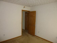 8688 Pennycress Ln, Lewis Center, OH Image #6324319