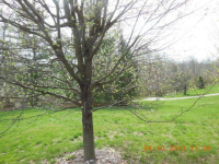 7479 Zion Hill Rd, Cleves, Ohio  Image #6404970
