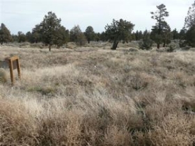 LOT 66 PRONGHORN ESTATES, BEND, OR Main Image