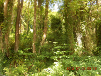photo for Lot 81 82 Nw Sussex Ave