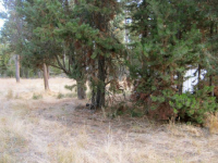 16320 Sparks Dr, La Pine, Oregon Image #5485148