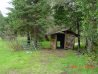 1525 Coyote Creek Rd, Wolf Creek, Oregon  Image #6745823
