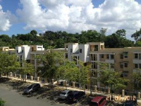 Carr. 844 Apt. 1304 Cond. Alturas Del Bosque, San Juan, PR Image #4033728