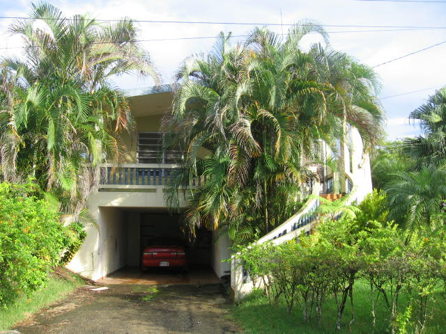 Km 3 Hm 7 Carr 445 Bo Saltos, San Sebastian, Puerto Rico  Main Image