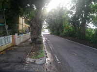 San Antonio Carr 478 Km 1 4, Quebradillas, Puerto Rico  Image #6903184