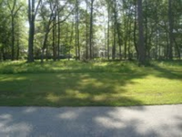 photo for 49  OLDFIELD VILLAGE RD LOT 532