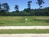 LOT 128  SOUTH ISLAND, GEORGETOWN, SC Image #3827133