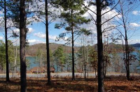 photo for Lot 21 Cliffs At Keowee Falls (Tms#
