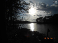 216 Lakeside Dr, Chapin, South Carolina  Image #5628034